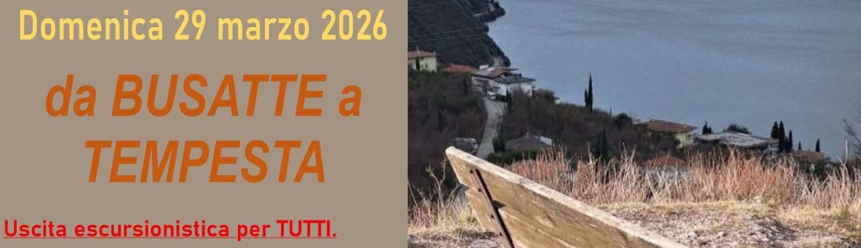 busattetempesta_banner