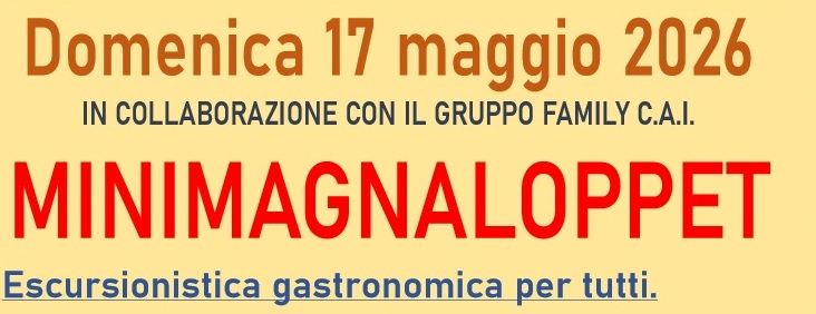 Minimagnaloppet 2026 banner